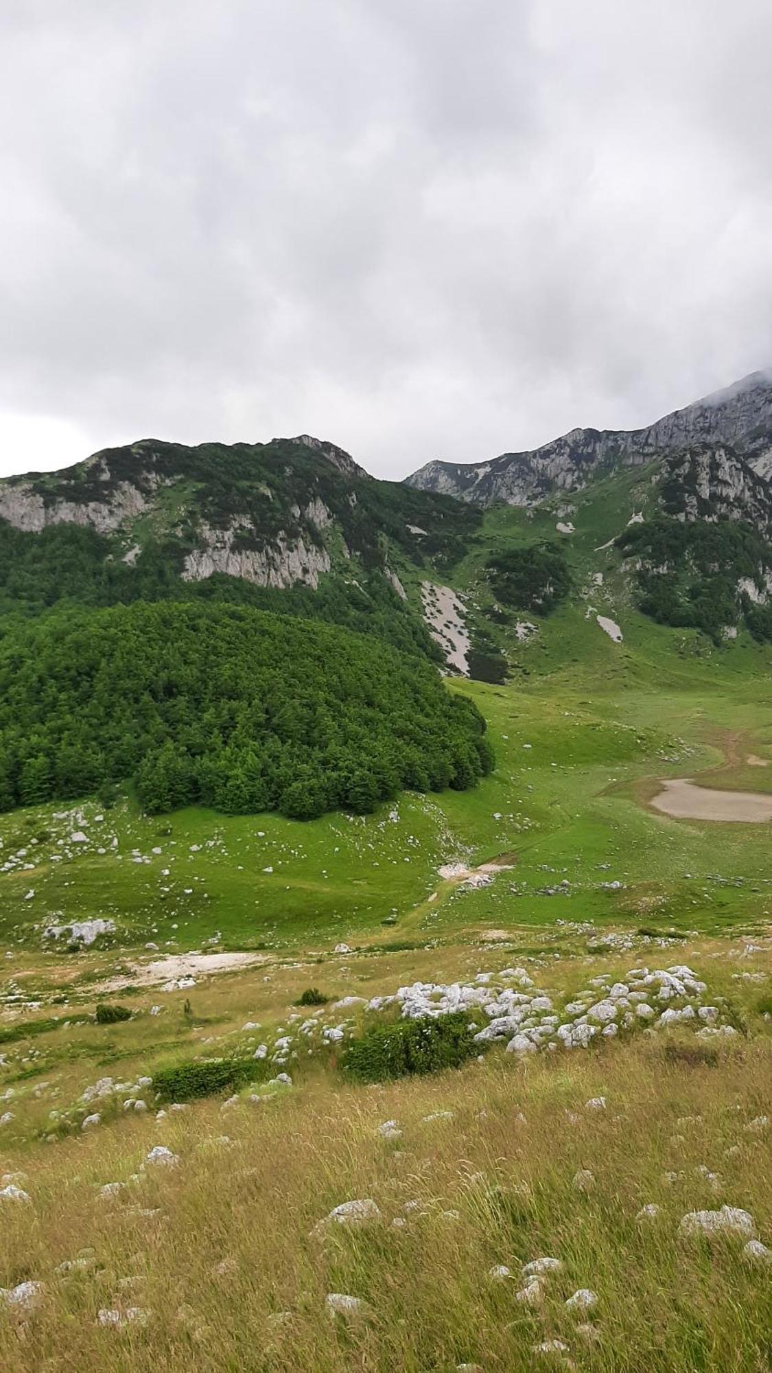 Apartments Durmitor 자블야크 외부 사진
